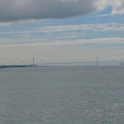 シオ狙いで大物ゲット!?