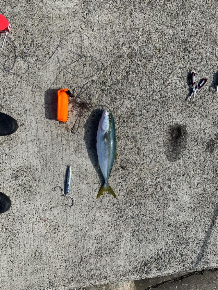 帰り際になんとか！