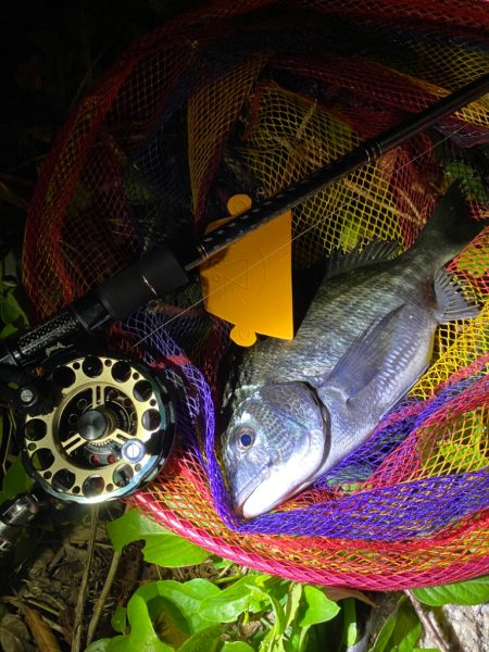 ヘチってきました