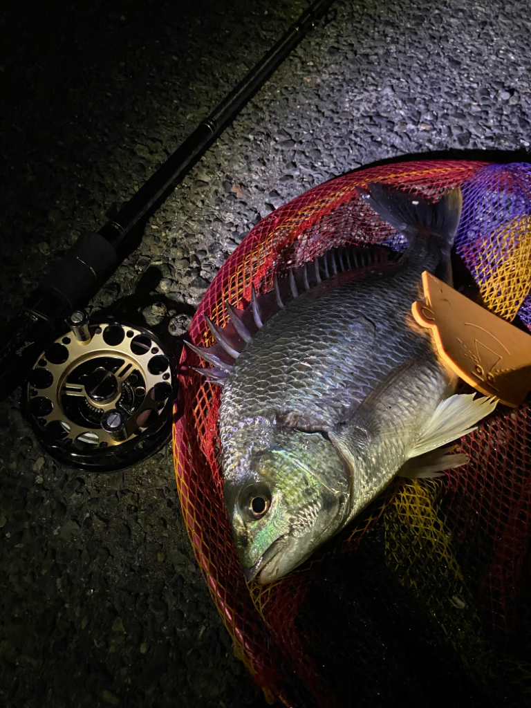 ヘチってきました