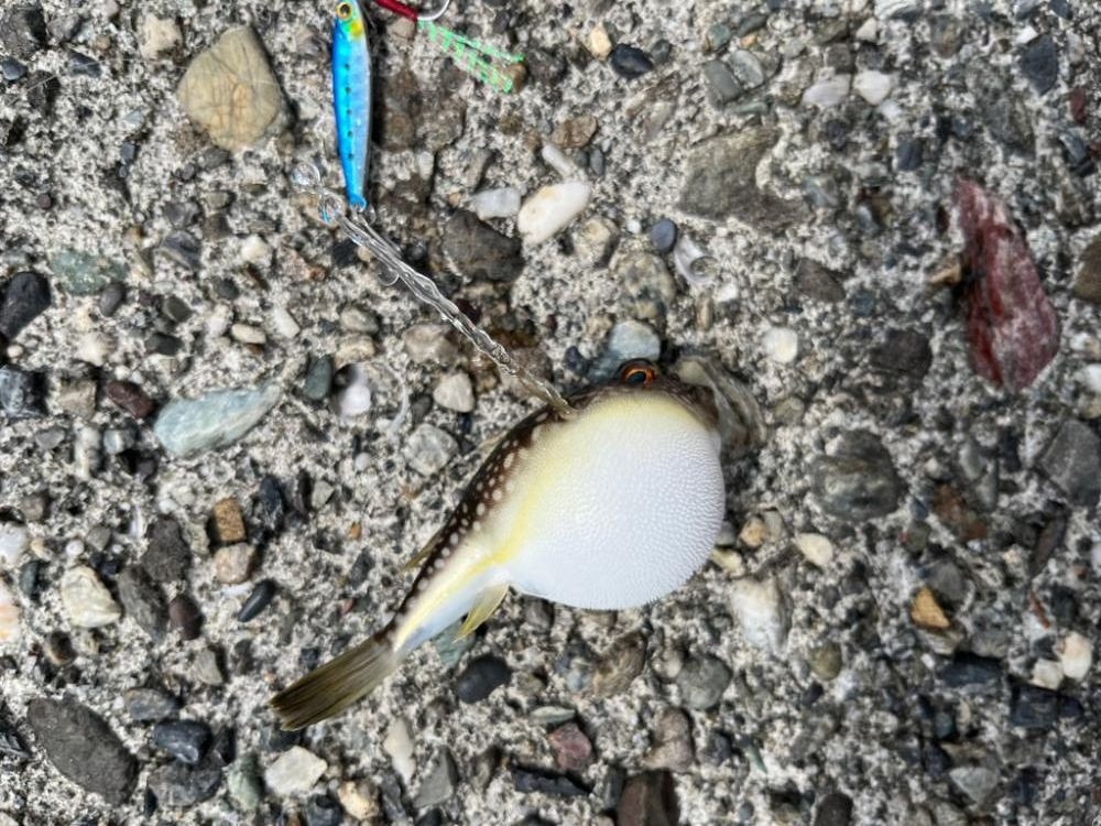 隙間時間ライトゲーム