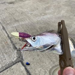 ワインドの日！？ワインドの連続ダートアクシ…