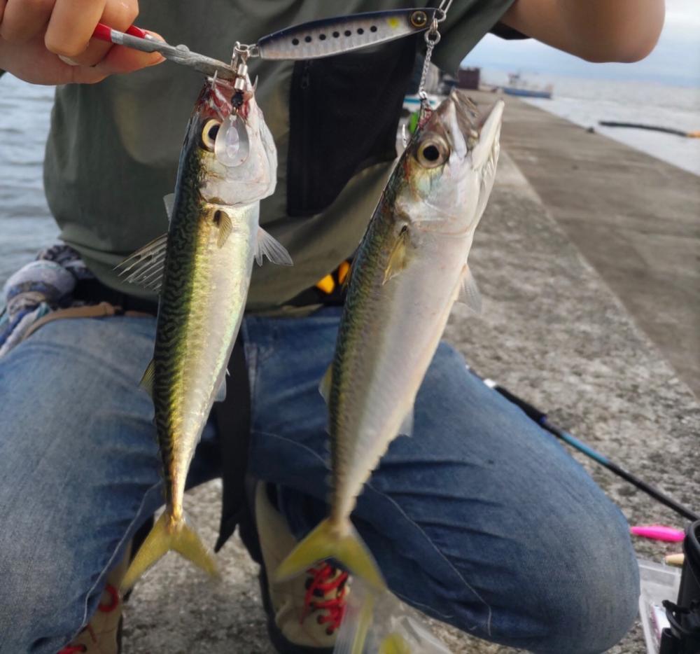 第六回雰囲気あります