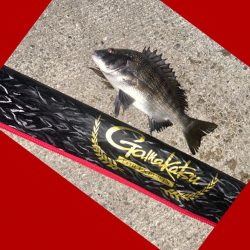 一雨降りその後。