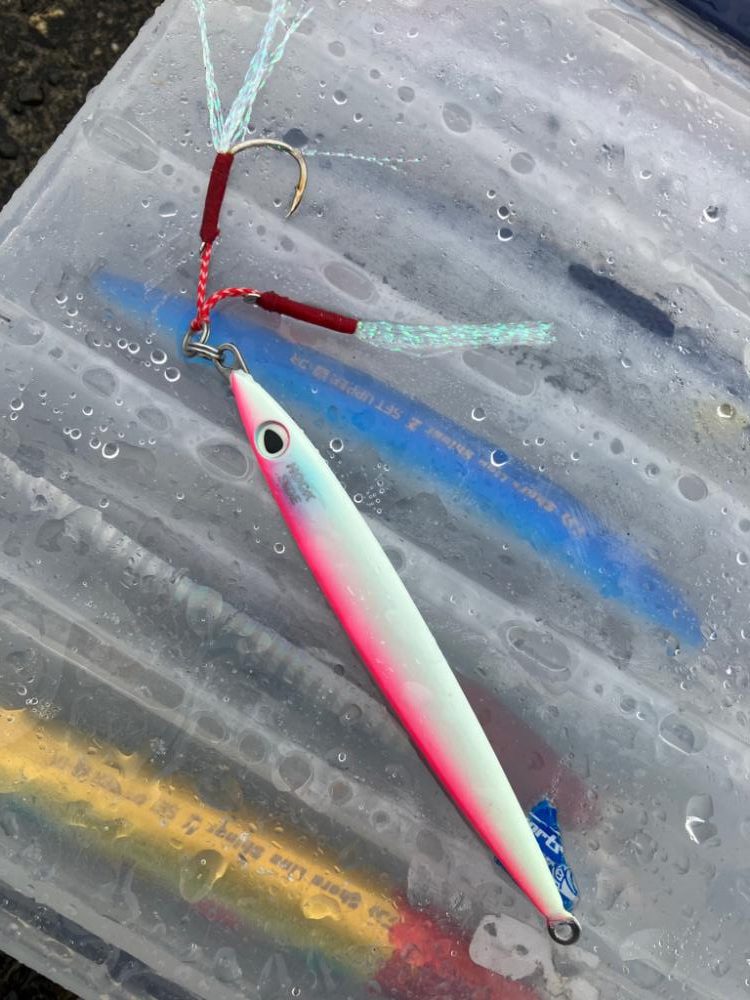 ハマチ〜ツバス