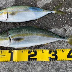 2022年ホーム初釣果②