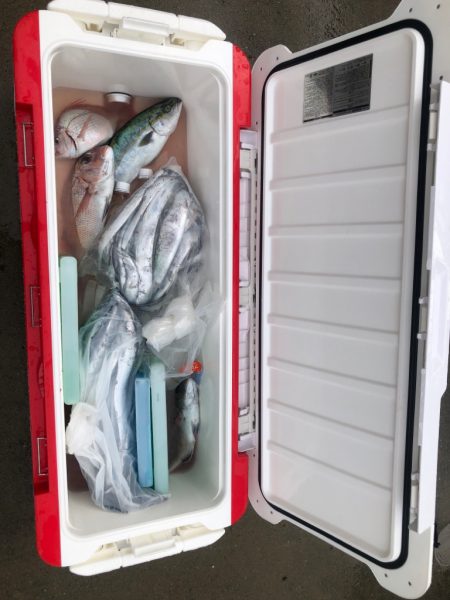 伊勢湾ジギング