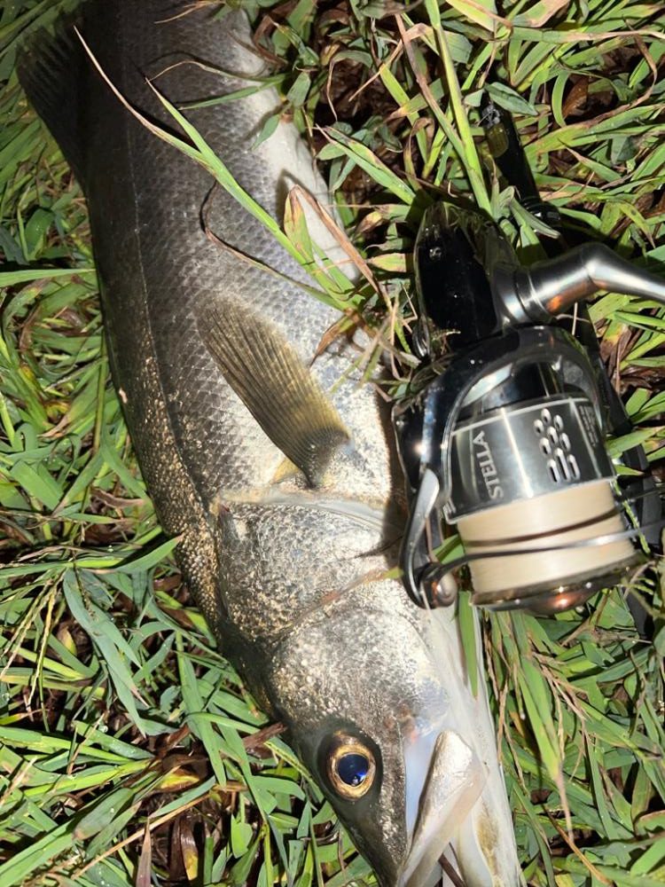 バイブレーションのショートリフト&フォール