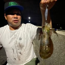 ナイトで良型確保