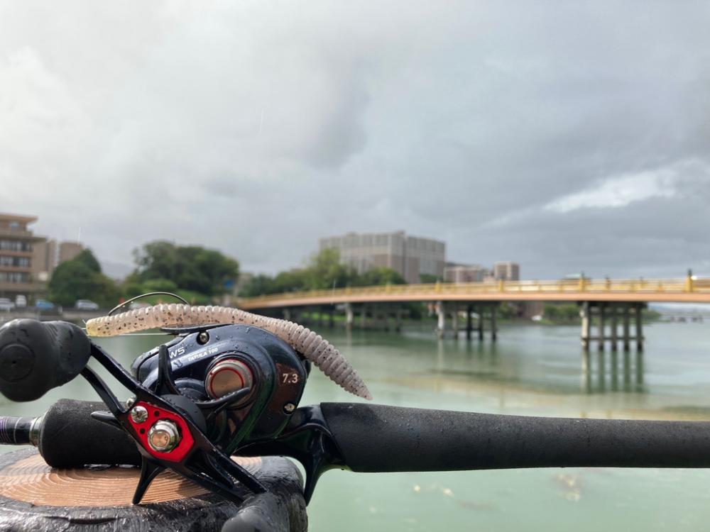 フリーリグでキタ!