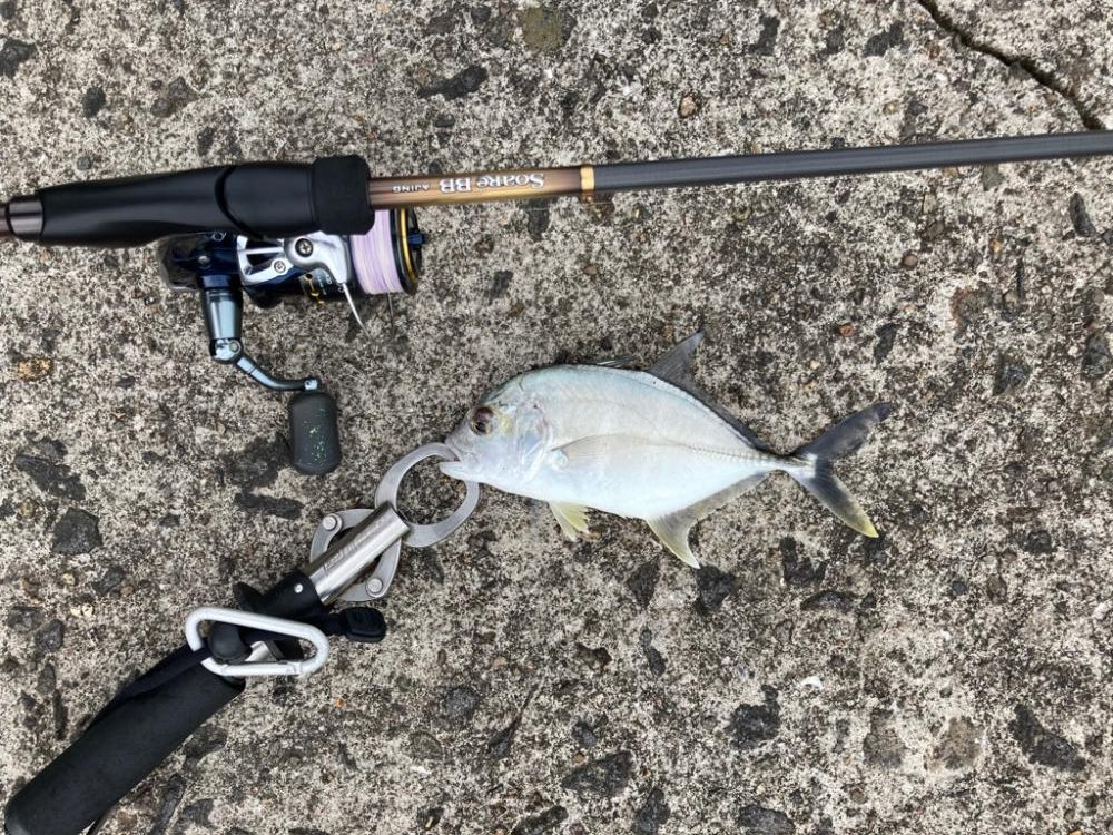 ロッド入魂完了