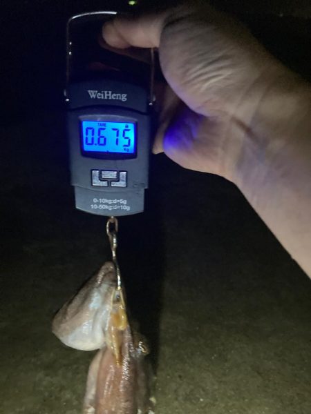 【タコング】台風後釣行