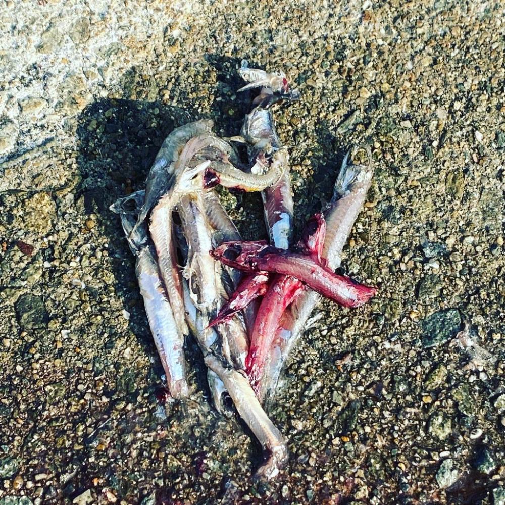 現地6時インにも光が…