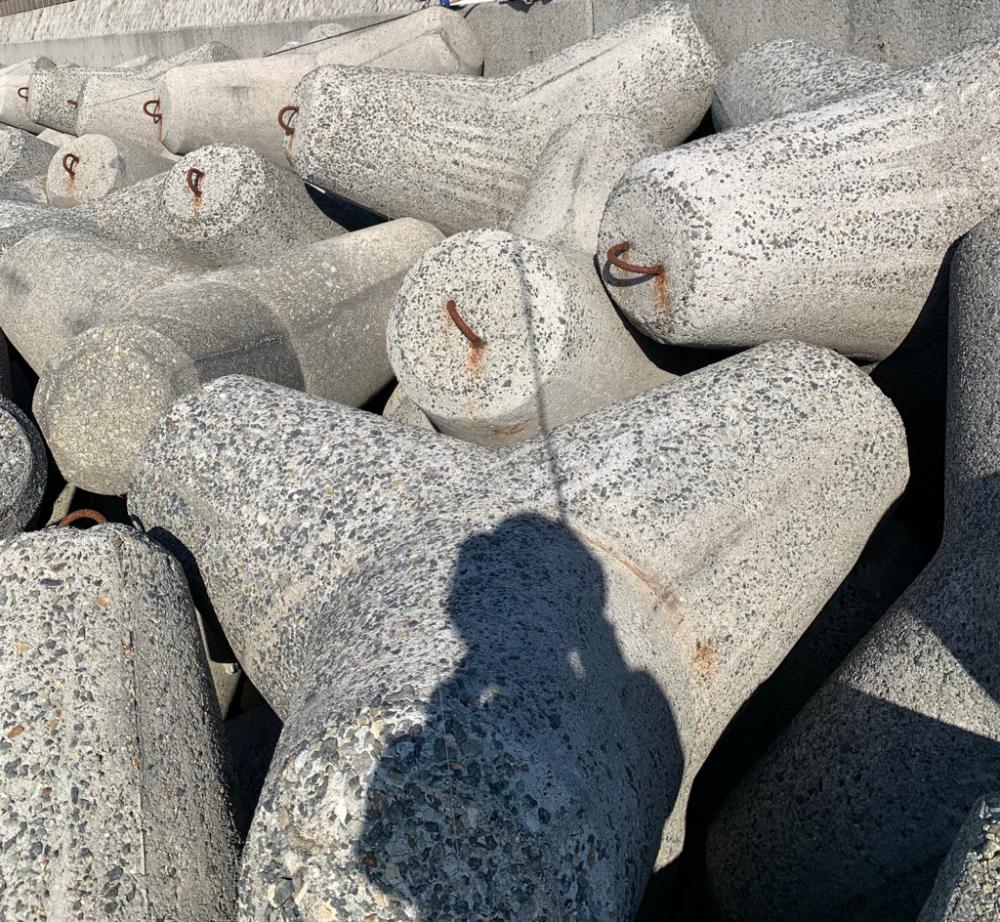 今週も、今期初物!