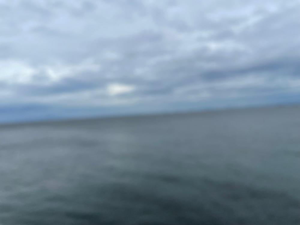 2022年　　ホーム初釣果‼️　①