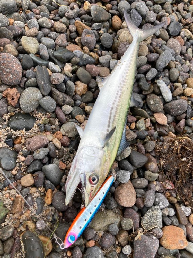 秋の夕涼み釣行