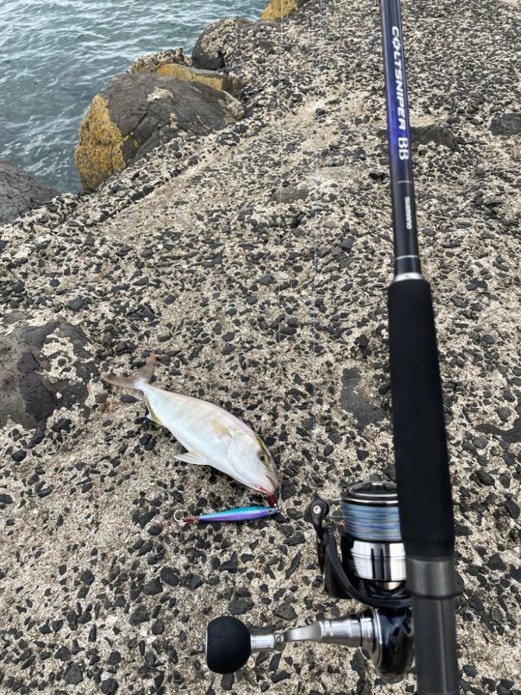 ライトショアジギング