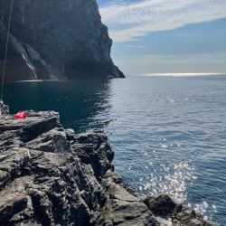 米水津の尾長を狙って❗️