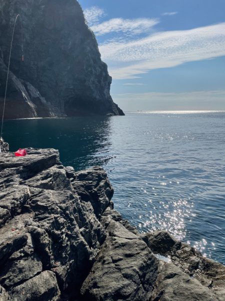 米水津の尾長を狙って❗️