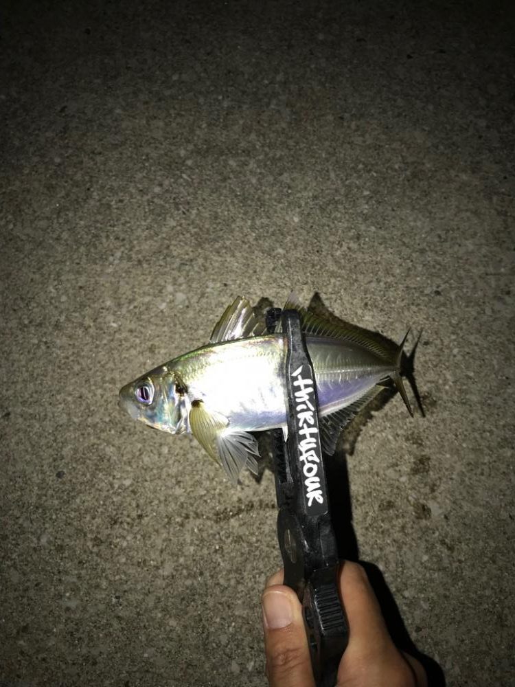 台風通過後から数日経過…