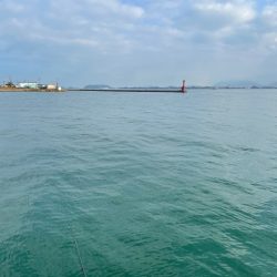 のんびりチヌ釣り❗️