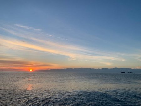 とりあえず墨族を投げれば海の状況がわかる。…気がする！