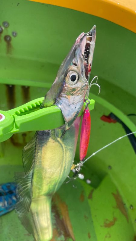 バリバスカップ参戦！！