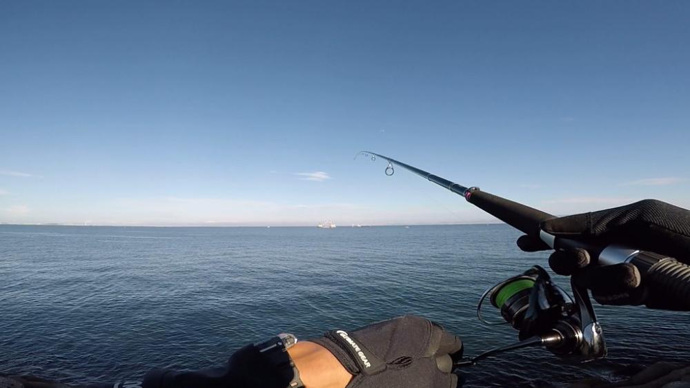 メジロ！2022ライトゲーム第31戦