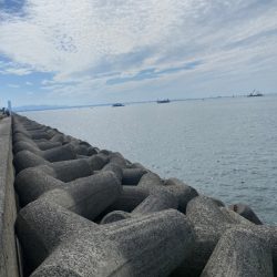 ツバス1本だけ…