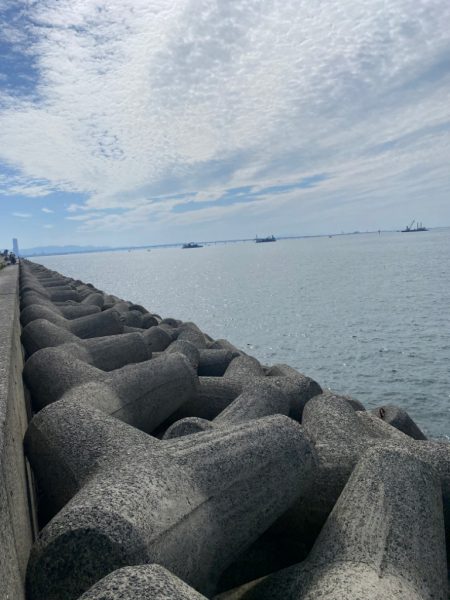 ツバス1本だけ…