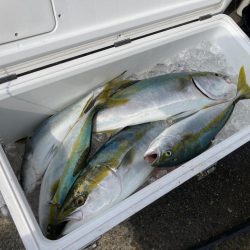 巻いて巻いて巻きまくれにゃー！