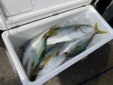 巻いて巻いて巻きまくれにゃー！