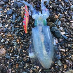 第四回雰囲気あります