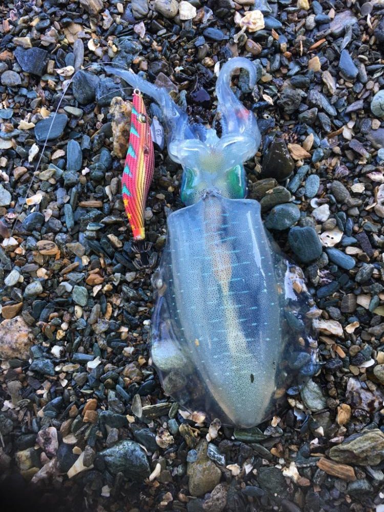 第四回雰囲気あります