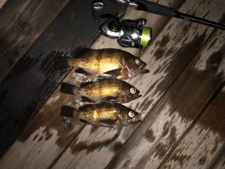 ショアジギのはずがメバリング