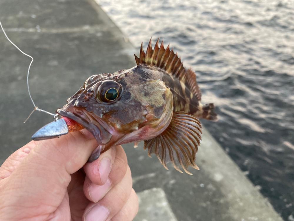 潮が動くと・・・