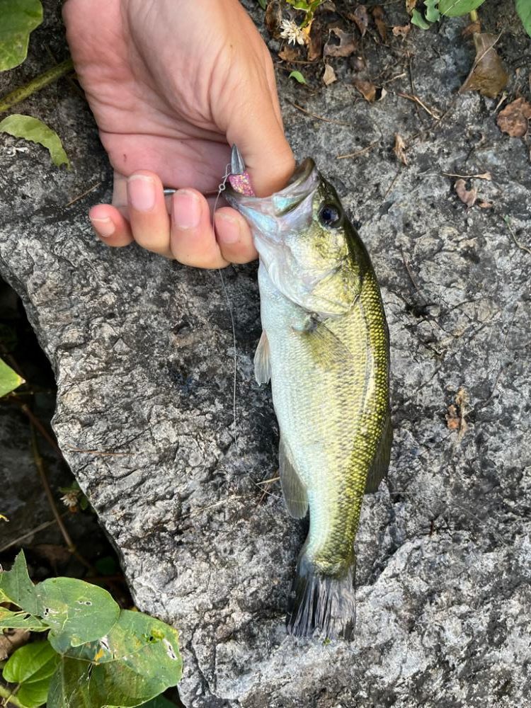 琵琶湖、朝の散歩