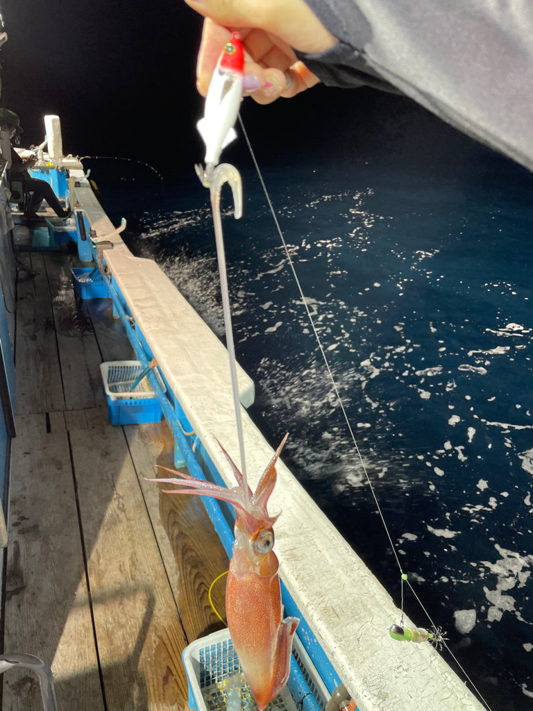 イカメタルエギングアジング笑