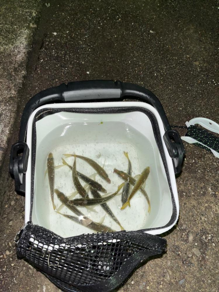 タイムアタック