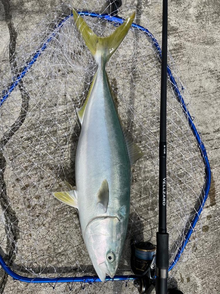 ショアジギング