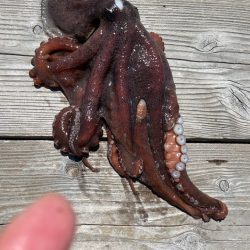 水宝に行って来ました