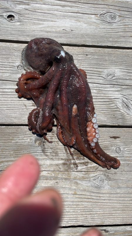 水宝に行って来ました