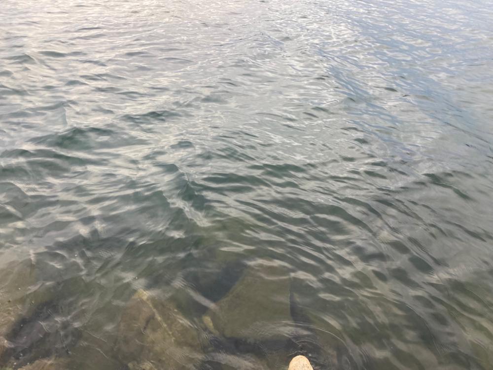 久々ちょい投げ