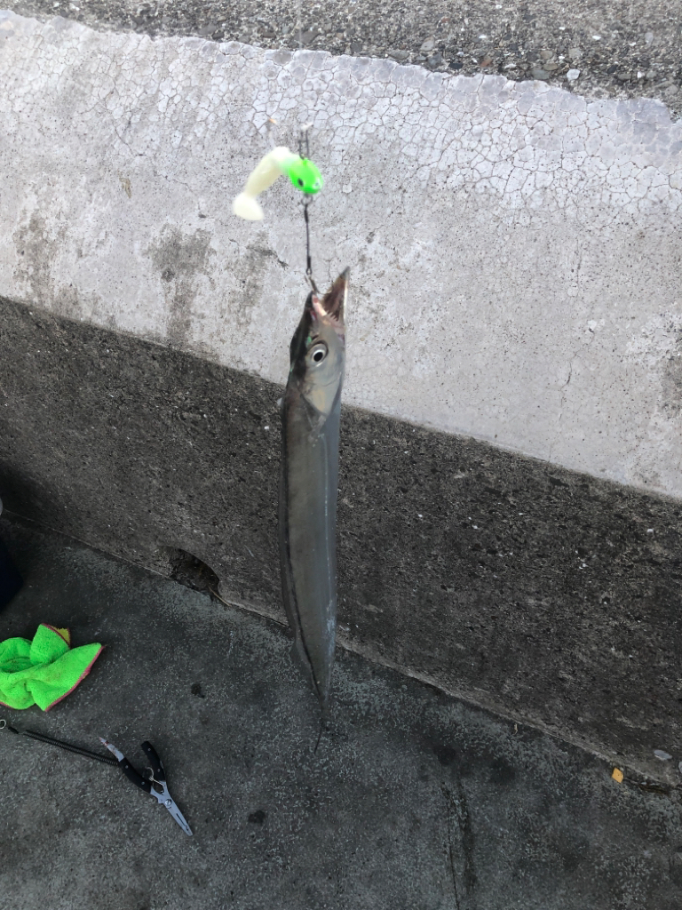 パワーシャッド凄え！