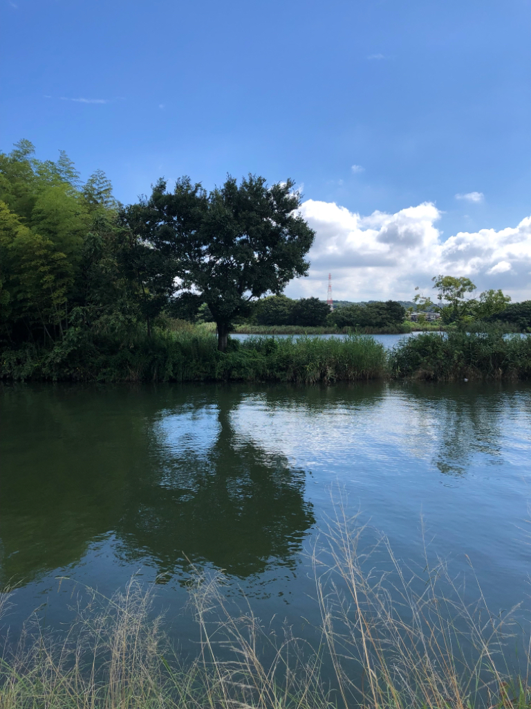 10分でも釣りがしたい😍❣️