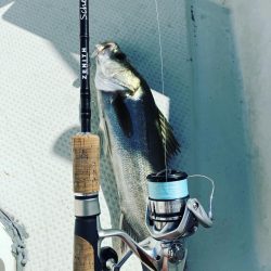 ボートシーバスゲーム