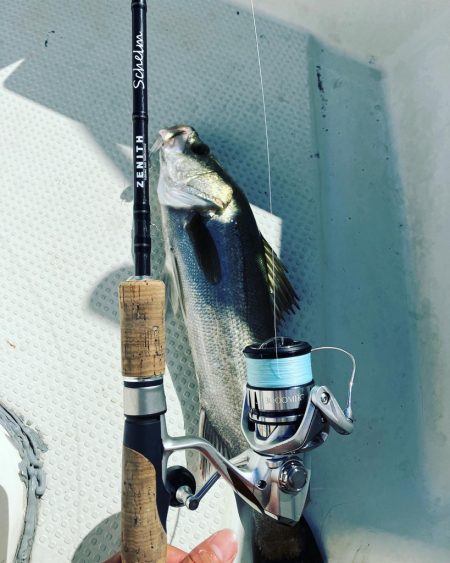 ボートシーバスゲーム