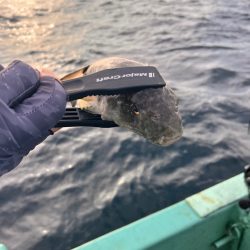 オフショアジギング