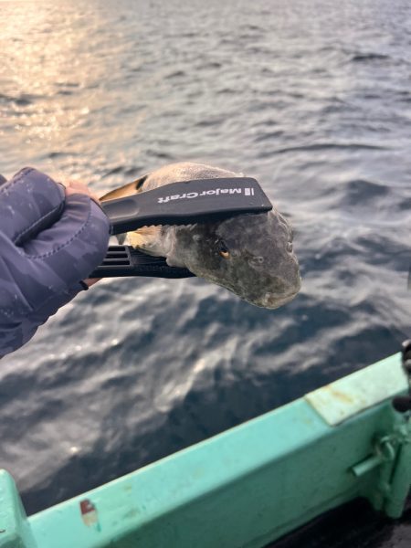 オフショアジギング