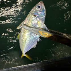 ボートアジング